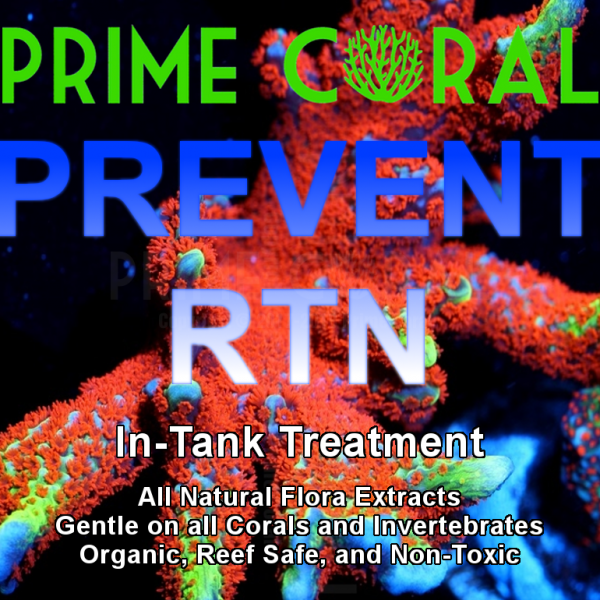 Prime Coral Prevent RTN