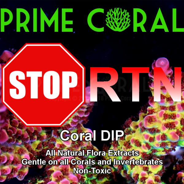 Prime Coral STOP RTN
